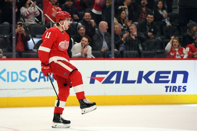 Dec 12, 2019; Detroit, MI, USA; Detroit Red Wings right wing Filip Zadina (11) celebrates his goal during the second period against the Winnipeg Jets at Little Caesars Ar