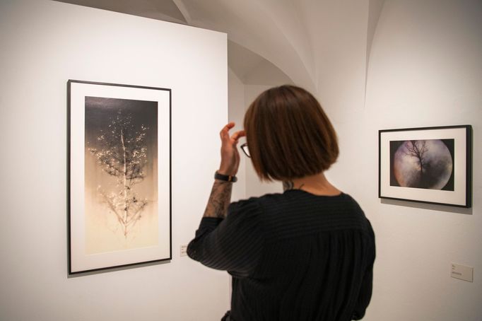 Snímek z výstavy děl Siegfrieda Herze.