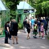 Tygři usurijští v olomoucké zoo
