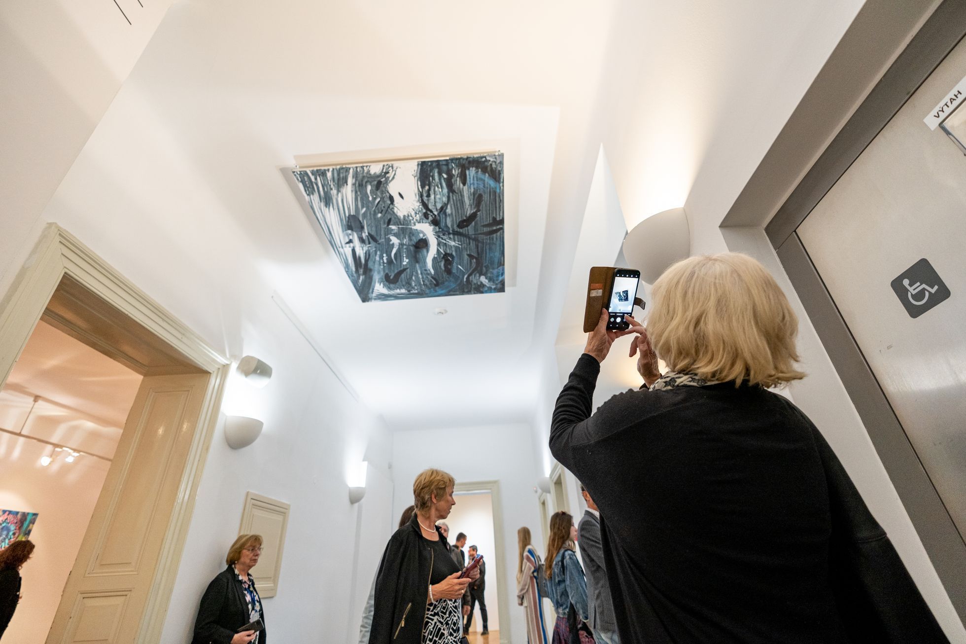 Martin Salajka: Mimikry