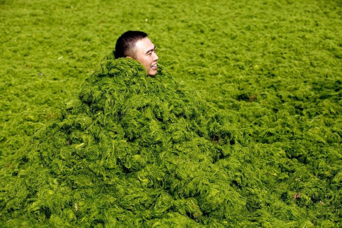 A man covers himself in algae as he plays with his friends at a seaside in Qingdao, Shandong province, July 3, 2013. REUTERS/Stringer (CHINA - Tags: SOCIETY ENVIRONMENT) CHINA OUT. NO COMMERCIAL OR EDITORIAL SALES IN CHINA Published: Čec. 3, 2013, 12:04 odp.