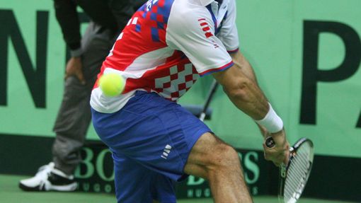 Finále Davis Cupu, zápas Radek Štěpánek - David Ferrer