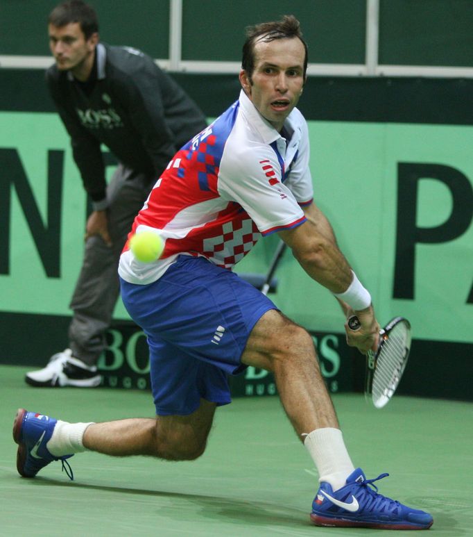 Finále Davis Cupu, zápas Radek Štěpánek - David Ferrer