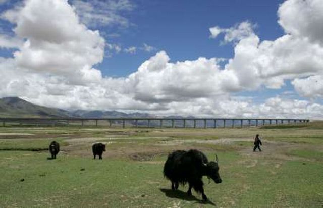 Čína Tibet železnice 6