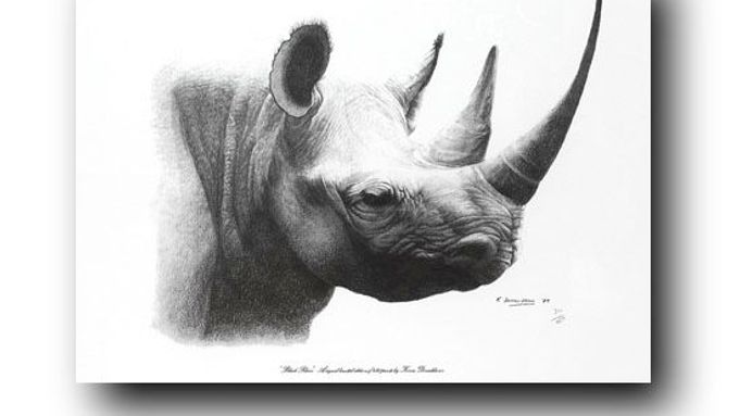Z muzea zmizely rohy nosorožce dvourohého a nosorožce indického.