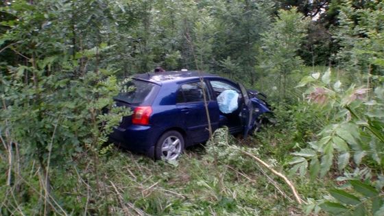 Sražená srna rozbila čelní sklo protijedoucího vozu