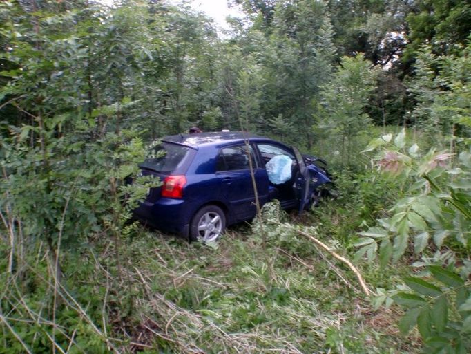 Auto srazilo srnu