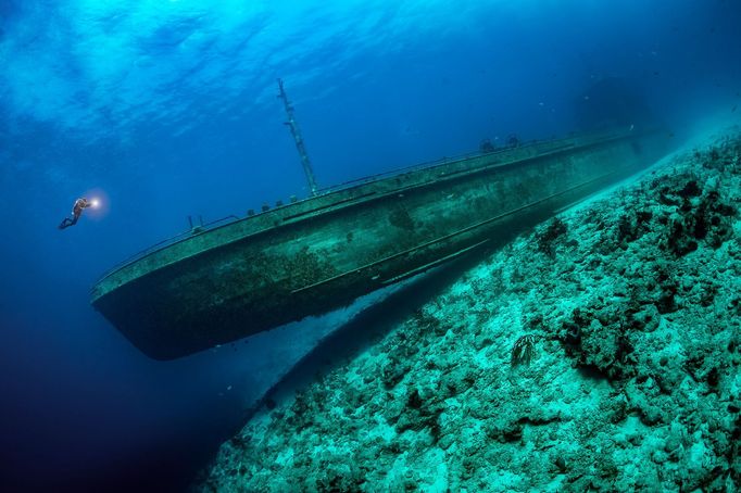 Vítězové soutěže Underwater Photographer of the Year 2021