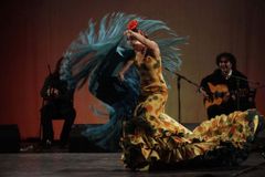 Flamenco vzruší, když molekuly paměti tančí v těle