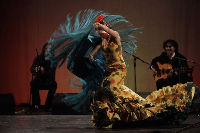 Flamenco Element - Jana Drdácká.