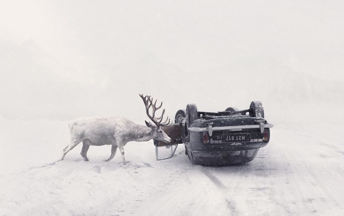 Martin Stranka: Snímek oceněný hodnocením commended na Sony World Photography Awards 2018