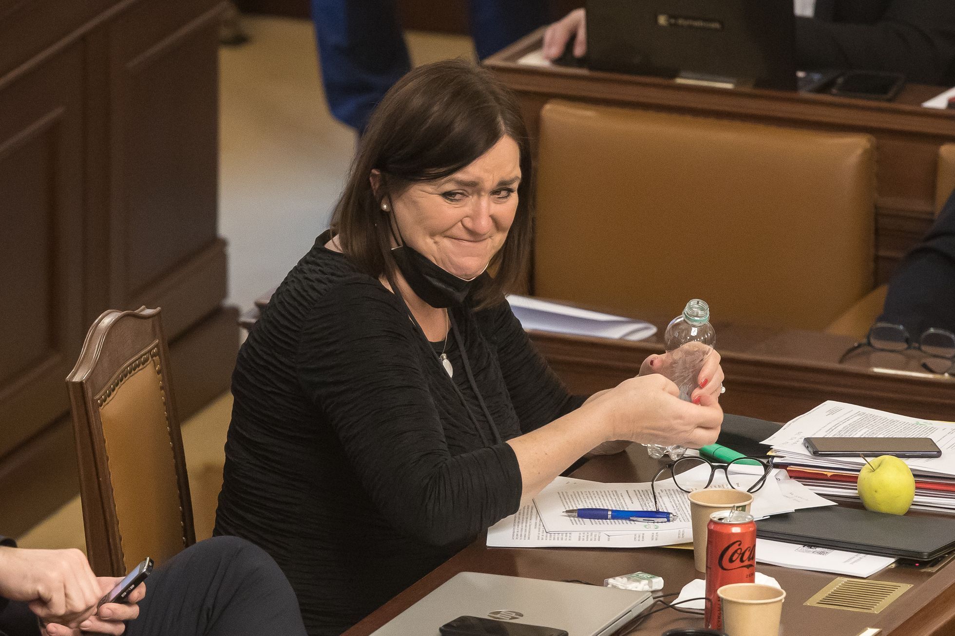 Poslanecká sněmovna - hlasování o důvěře vládě - vláda Petra Fialy - Helena Langšádlová, členka vlády pro vědu, výzkum a inovace