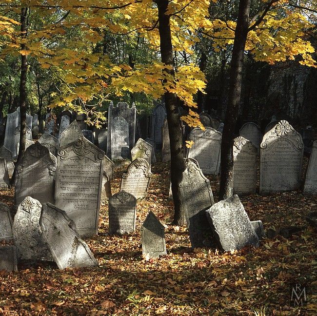 Mikulovský židovský hřbitov
