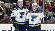 Jediným českým střelcem v úvodním dni letošního play off byl Vladimír Sobotka. ten se přitom do NHL a St. Louis vrátil jen před pár dny, přesto má parádní bilanci dva zápasy - dva góly.