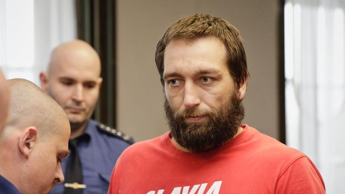 Pěti a půl lety vězení potrestal soud v Plzni Tomáše Čermáka.