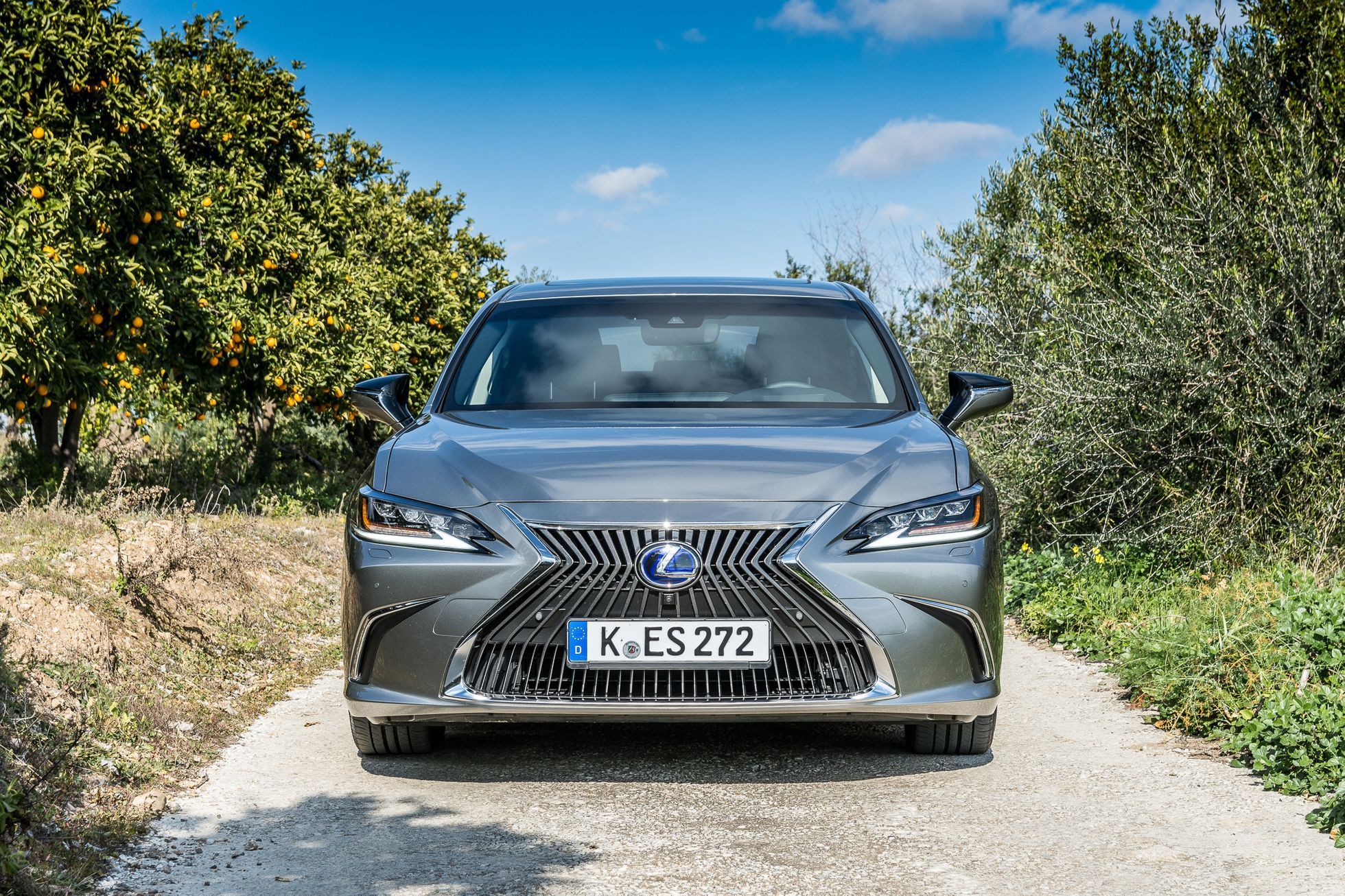 Lexus ES 2019