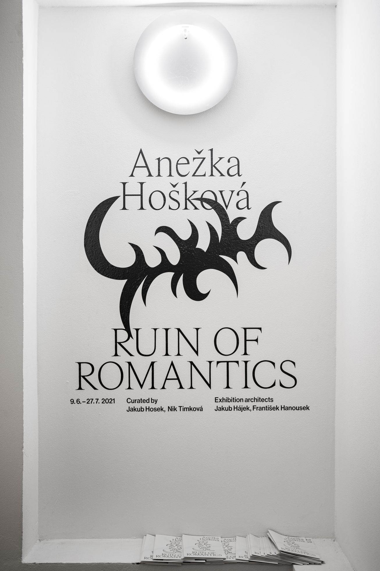 Anežka Hošková: Ruin of Romantics
