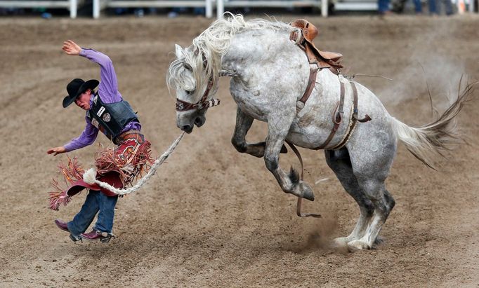 Rodeo v Calgary