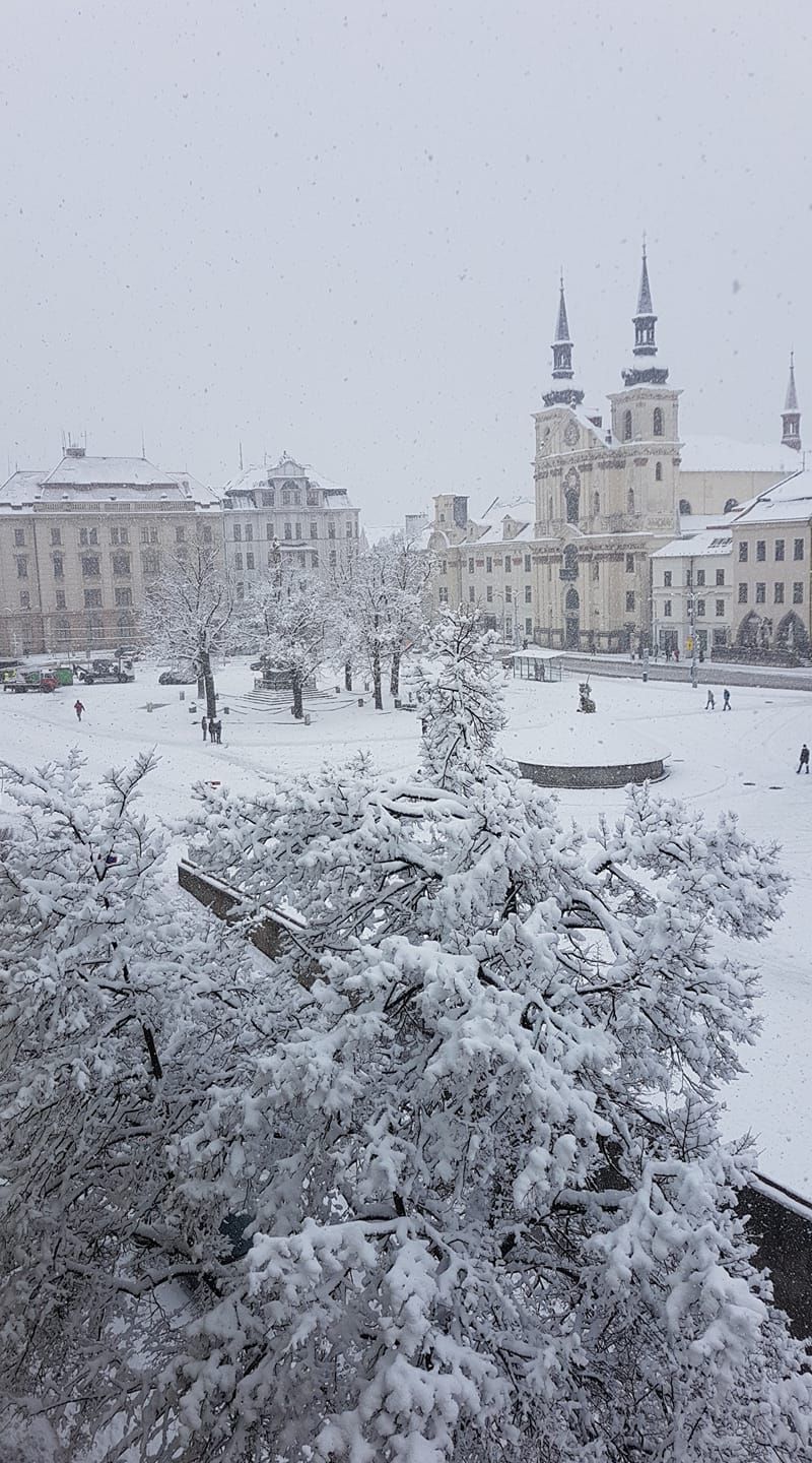 Zasněžené Česko očima čtenářů Aktuálně.cz
