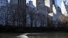 The pond of the South East side of Central Park is seen partially frozen in New York, January 24, 2013. Frigid arctic air held the U.S. Midwest and Northeast in its icy grip on Wednesday, with the cold so dangerous that municipal emergency warming centers opened up and ski resorts shut down. Wintry conditions from Minneapolis to Washington marked the coldest conditions in many parts of the United States in four years, but were nowhere near the record lows for January, meteorologists said. REUTERS/Eduardo Munoz (UNITED STATES - Tags: ENVIRONMENT SOCIETY) Published: Led. 24, 2013, 6:58 odp.