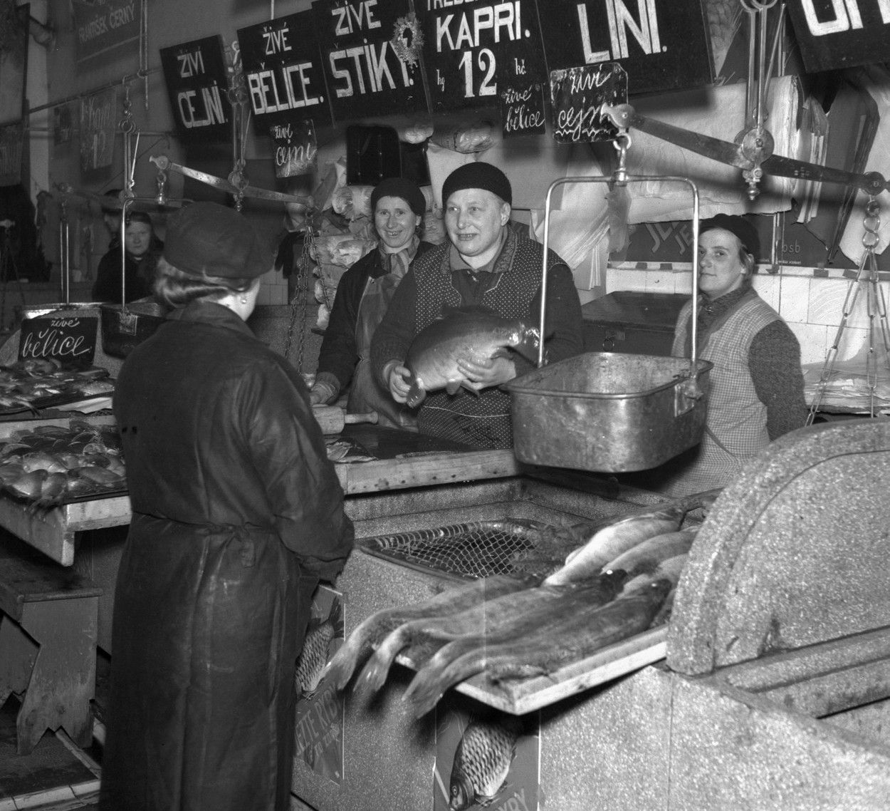 Haky baky - Inzerce, inzeráty, bazar