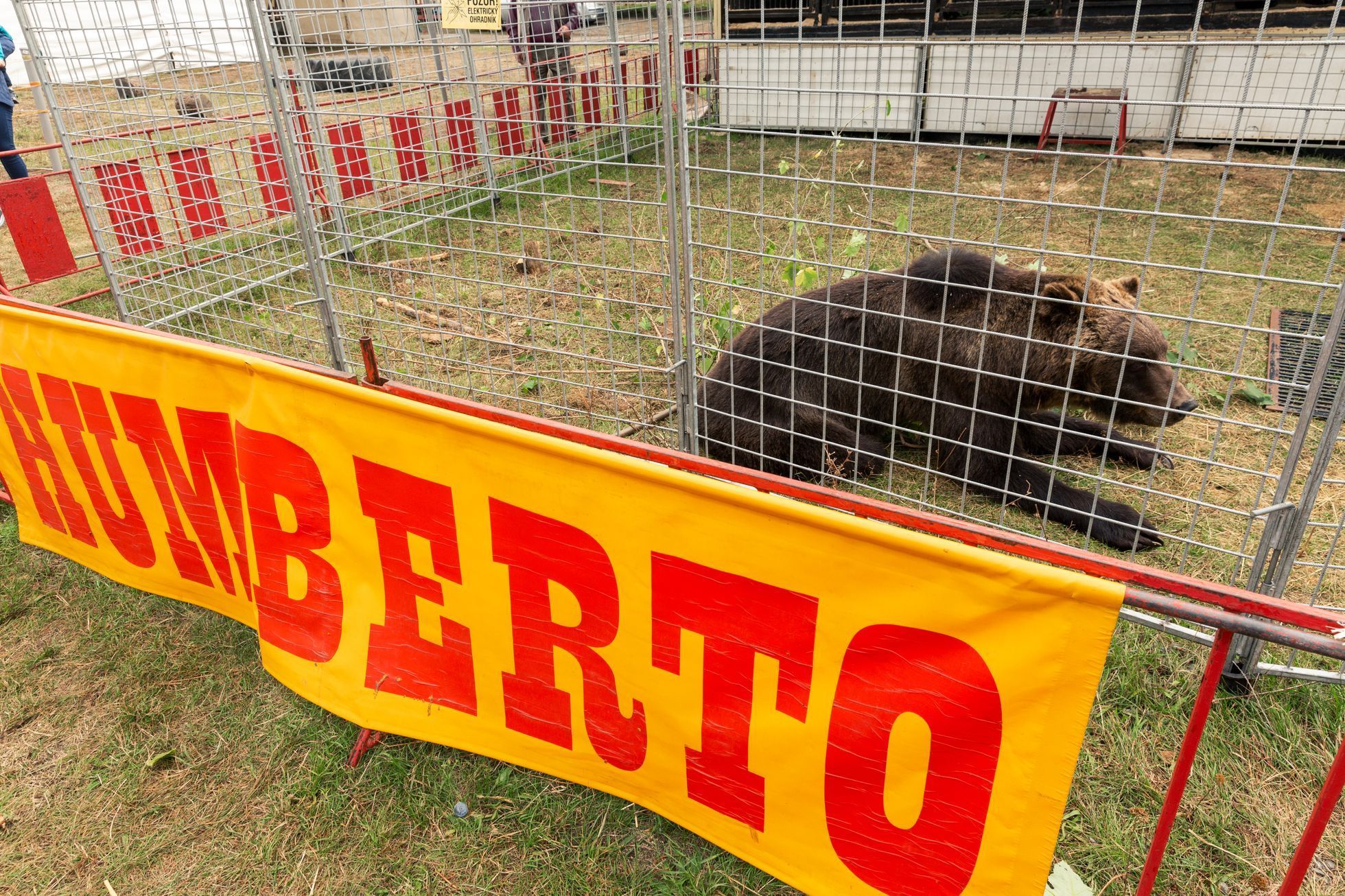 Cirkus Humberto, Násilí jsem nikdy nepoužil.