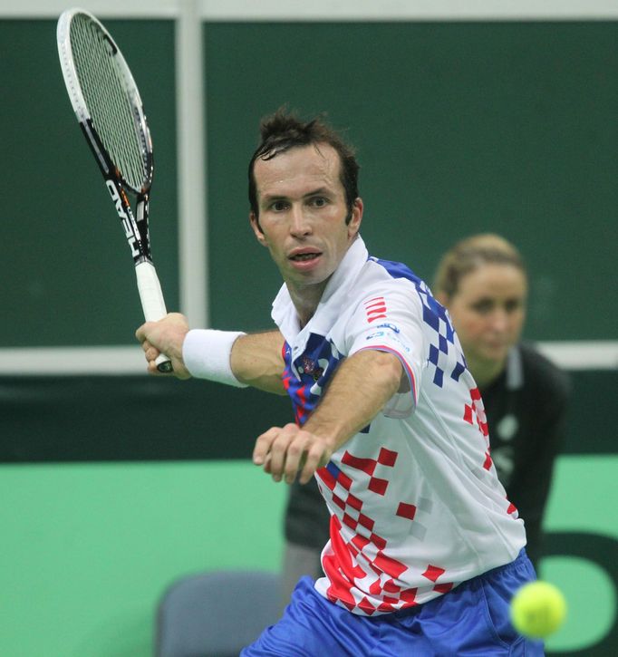 Finále Davis Cupu, zápas Radek Štěpánek - David Ferrer