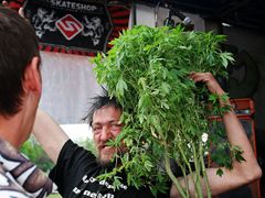 V čele pódia stála rostlina Cannabis, se kterou se někteří příznivci chodili "objímat".