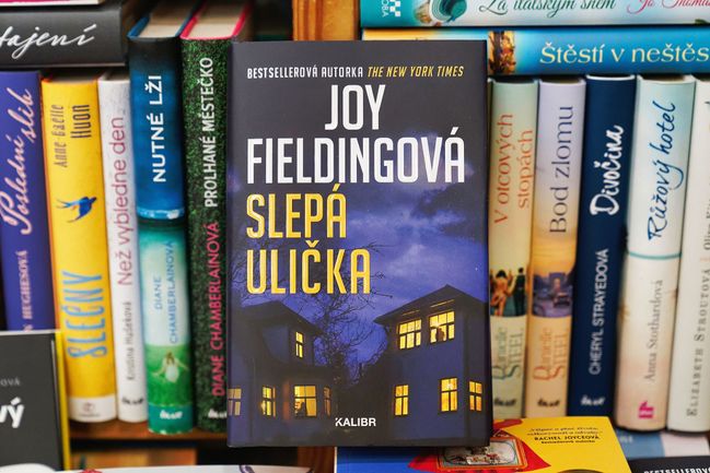 Slepá ulička – Joy Fieldingová