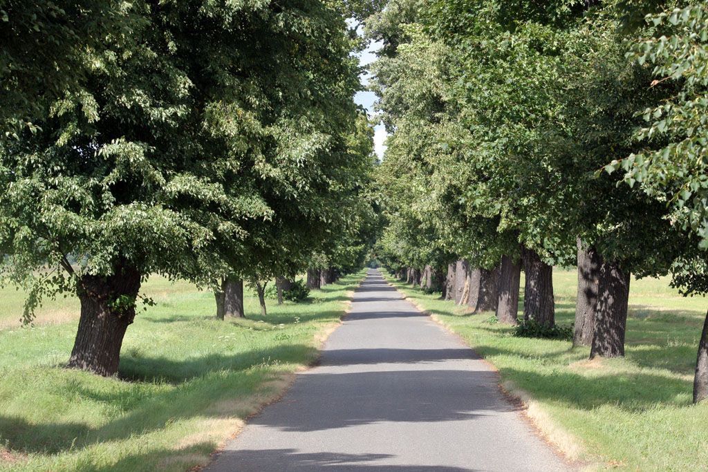 Zámek Veltrusy deset let po povodni