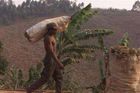 Na Madagaskaru přibývá stromů. Prezident plní slib