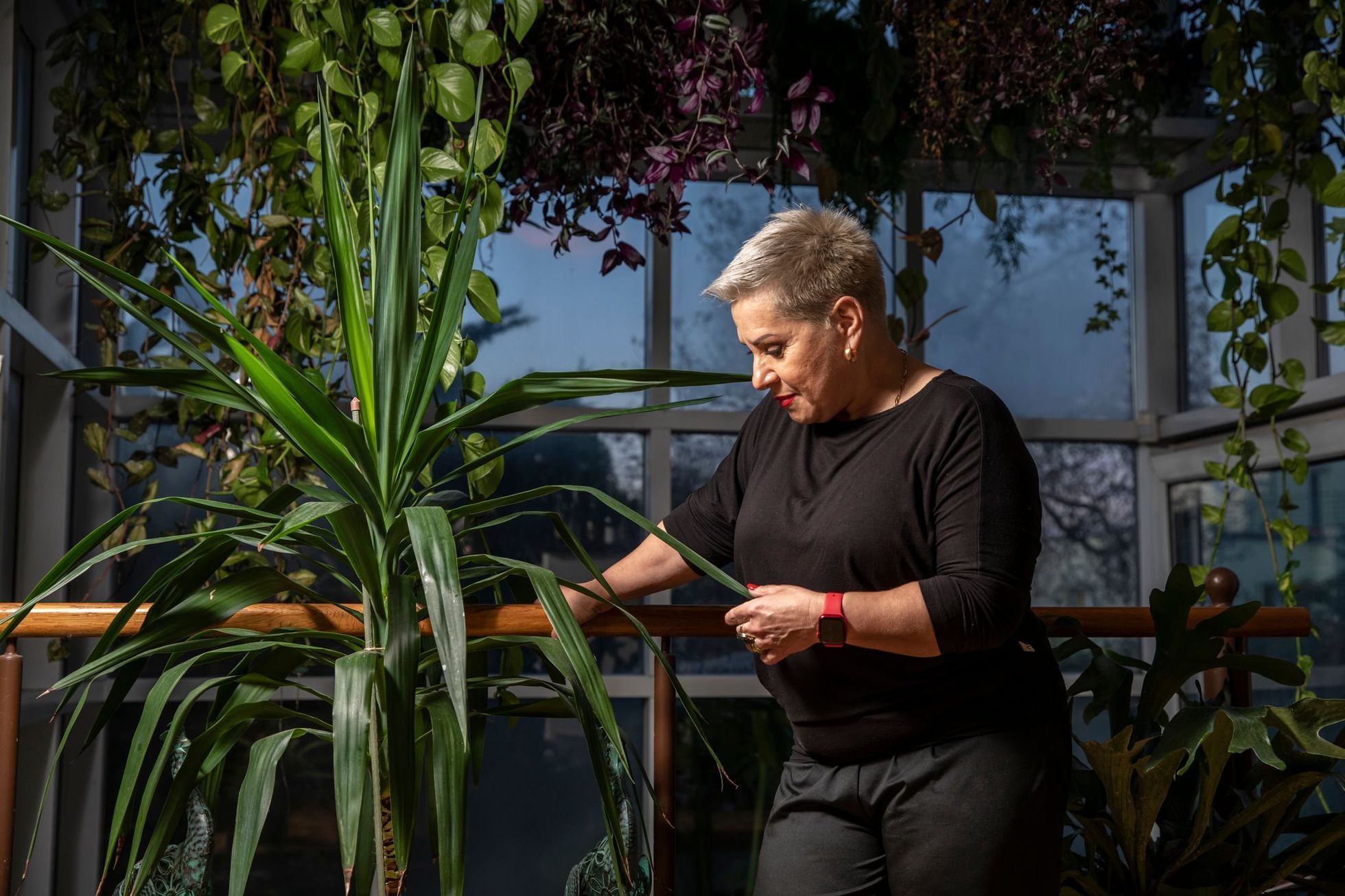 Jak bydlí Dagmar Pecková