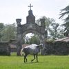 Abcházie - kostel - kůň