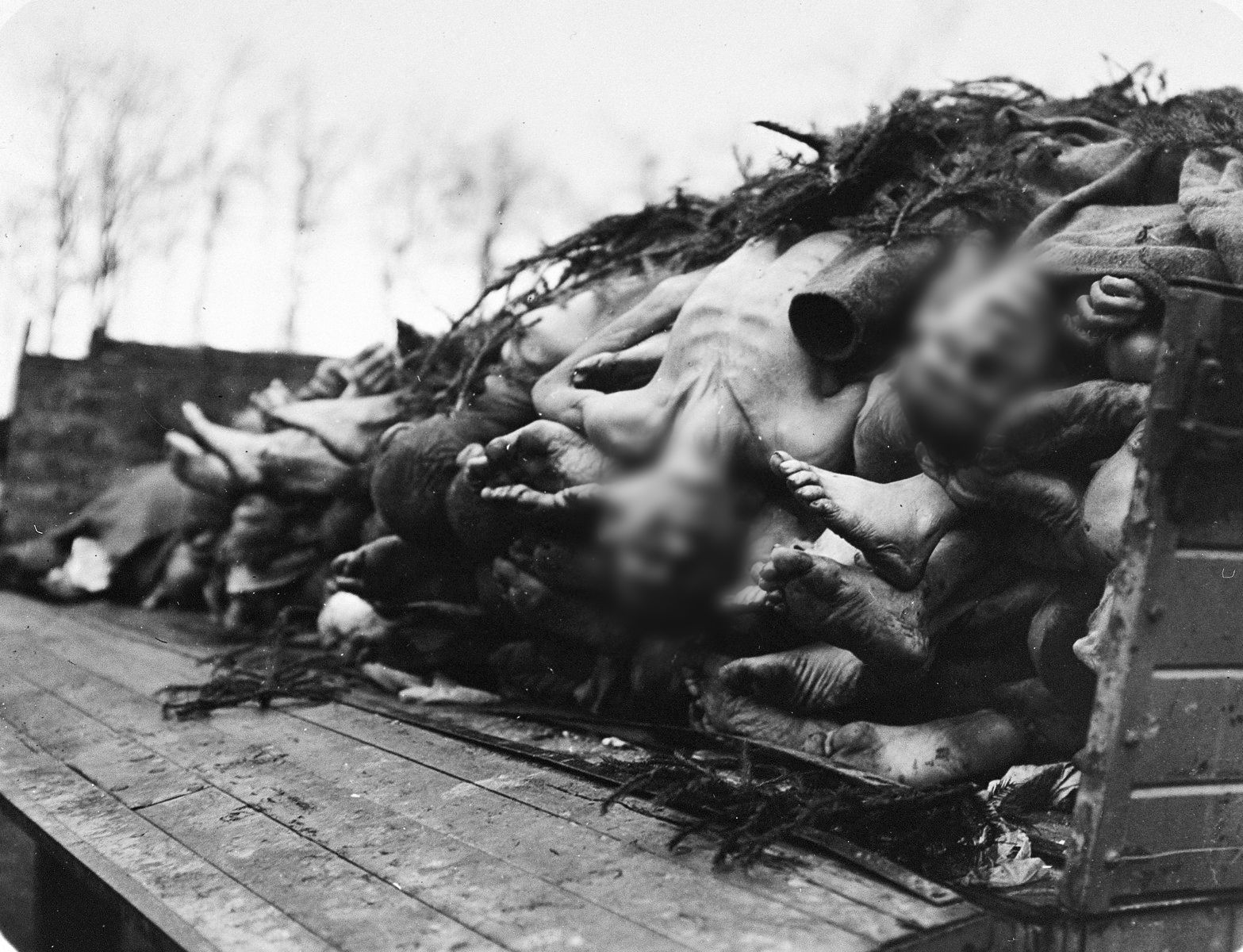 Jednorázové užití / Fotogalerie / Osvobození koncentračního tábora Buchenvald / USHMM