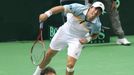 Tenis, DC, Česko - Argentina: čtyřhra -  Carlos Berlocq (vpravo) a Horacio Zeballos