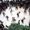 Muslimové, svátek, náboženství, Ashoura, Ashura, Ašúra