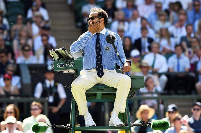 Létající mravenci na Wimbledonu