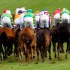 Cheltenham Festival, dostihy, Velká Británie