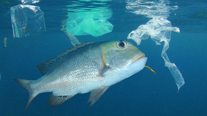 Do oceánů se ročně dostane až devět milionů tun plastového znečištění.