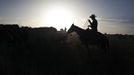 Alon, an Israeli cowboy, tends cattle on a ranch just outside Moshav Yonatan, a collective farming community, about 2 km (1 mile) south of the ceasefire line between Israel and Syria in the Golan Heights May 21, 2013. Cowboys, who have been running the ranch on the Golan's volcanic rocky plateau for some 35 years, also host the Israeli military, who use half of the cattle farm, 20,000 dunams (5,000 acres), as a live-fire training zone. Israel captured the Golan Heights from Syria in the 1967 Middle East war and annexed the territory in 1981, a move not recognized internationally. Picture taken May 21, 2013. REUTERS/Nir Elias (ENVIRONMENT ANIMALS SOCIETY) ATTENTION EDITORS: PICTURE 5 OF 27 FOR PACKAGE 'COWBOYS OF THE GOLAN HEIGHTS' SEARCH 'COWBOY GOLAN' FOR ALL IMAGES Published: Kvě. 29, 2013, 10:02 dop.