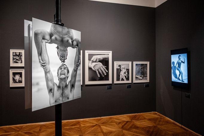 Bruce Weber: My Education. Fotografie z výstavy v Domě U Kamenného zvonu