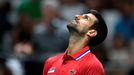 Novak Djokovič v zápase Davis Cupu proti Česku.