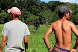 Naprostá většina kolumbijských kokových listů, kokové pasty a hydrochloridové soli kokainu pochází z produkce malých zemědělců a rodinných farem.