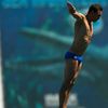 MS v plavání Barcelona 2013, skoky do vody: Michal Navrátil
