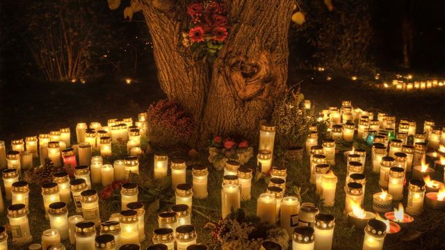 Zapálené svíčky u stromu