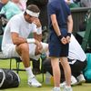 Wimbledon 2013 (Juan Martin del Potro v semifinále)