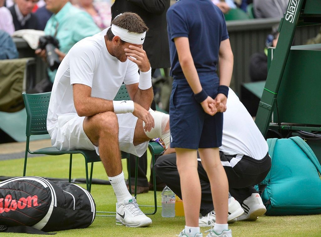 Wimbledon 2013 (Juan Martin del Potro v semifinále)