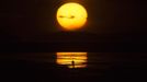 The planet Venus makes a transit as a person watches the sun set over the Great Salt Lake outside Salt Lake City, Utah, June 5, 2012. The planet Venus made a slow transit across the face of the sun on Tuesday, the last such passing that will be visible from Earth for 105 years. REUTERS/Jim Urquhart (UNITED STATES - Tags: SCIENCE TECHNOLOGY ENVIRONMENT) Published: Čer. 6, 2012, 3:58 dop.