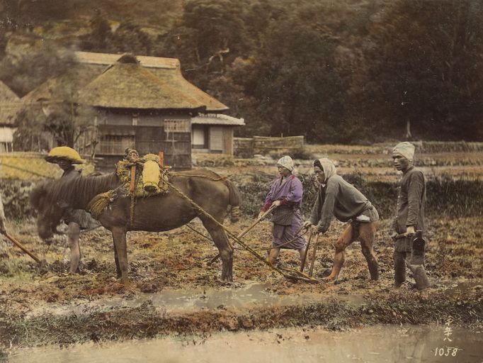 Šiniči Suzuki (1835 - 1919): Život a obchod v Japonsku, fotografie z 19. století