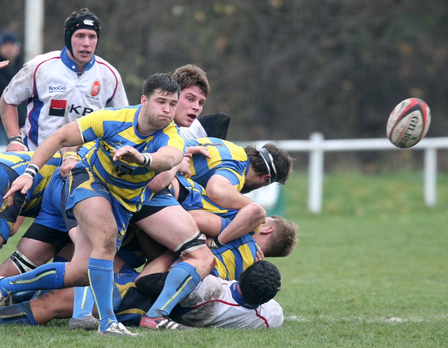 Čeští ragbysté v utkání ME 2012 se Švédskem v Praze na hřišti Tatry Smíchov.